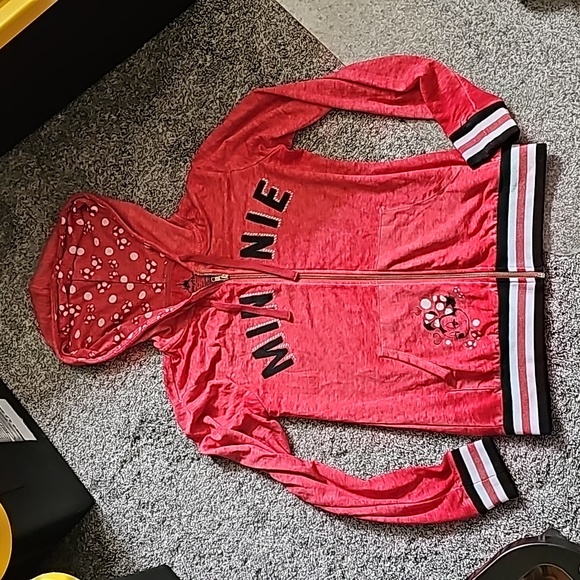 STUNNING DISNEY PARKS MINNIE ZIP UP HOODIE - Picture 1 of 7